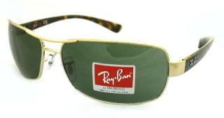 清光堂 RayBanレイバンサングラス RB3379 [送料無料]